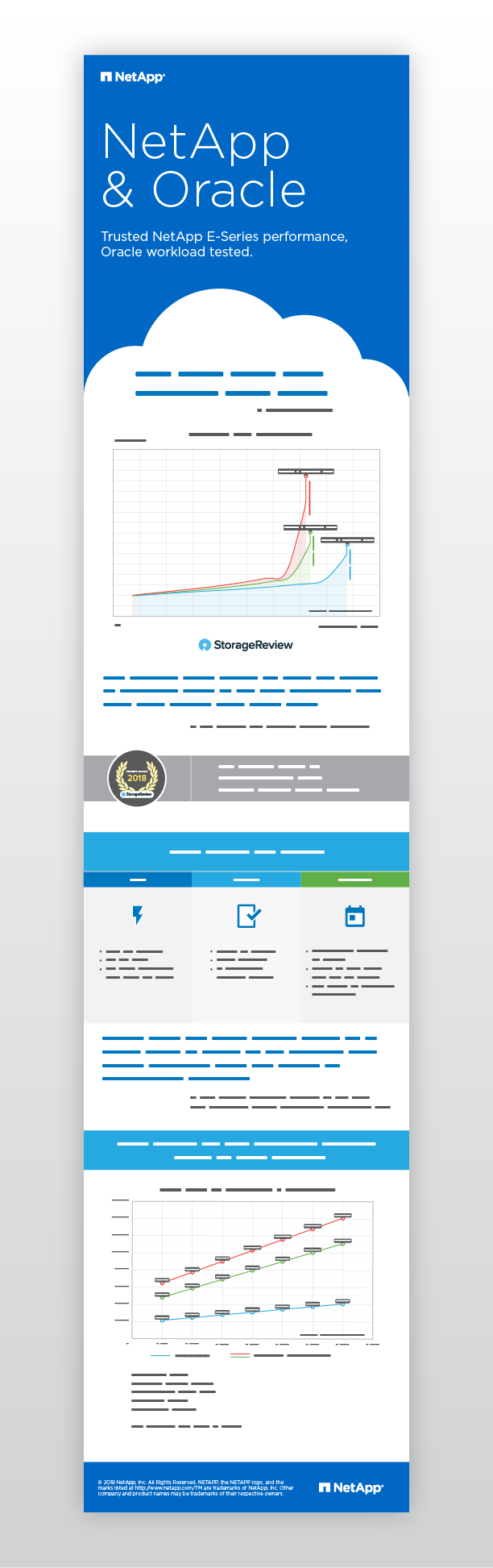 Infographic_NetApp-Oracle